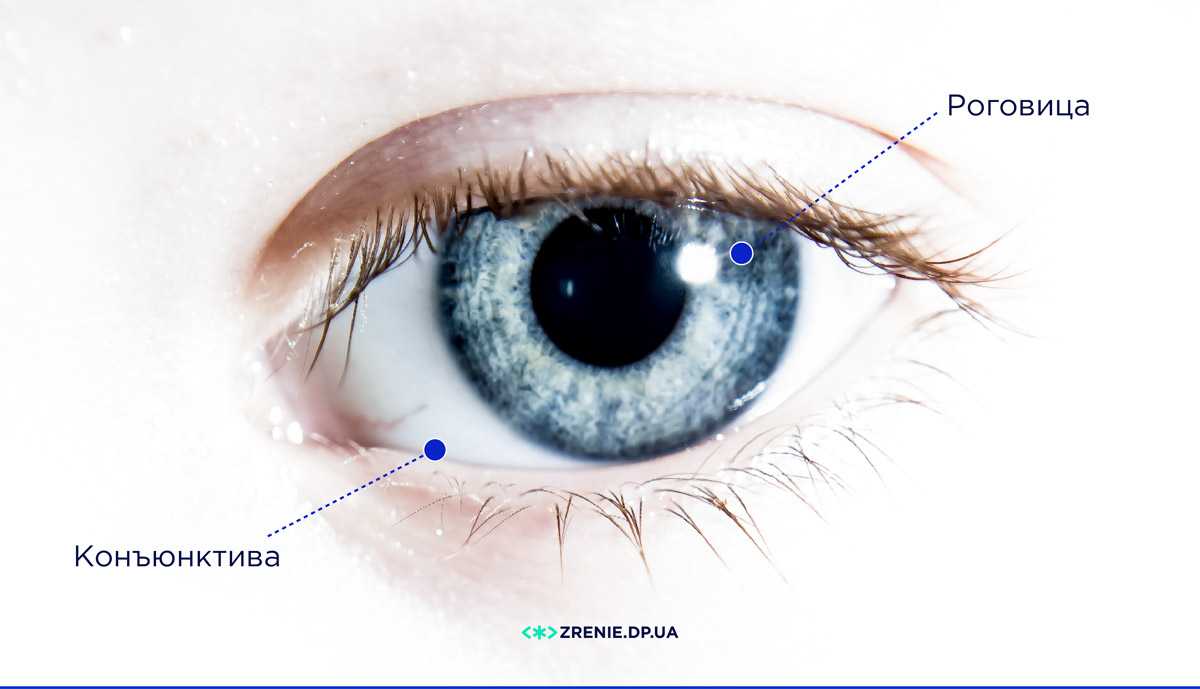 Виды слезной пленки